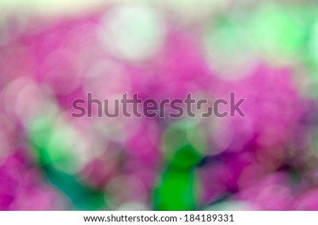 Pink background created from flower garden blur lens