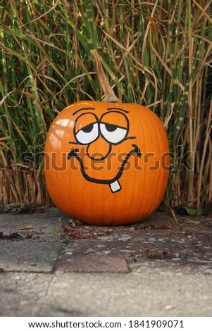 Halloween Pumpkin / Painted Pumpkin - Cat