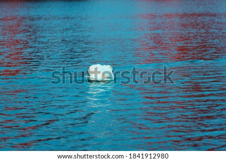 White swan on blue lake water. Beautiful reflections and glare of sunlight on the water. Waterfowl close up. Animals in the wild. A symbol of purity, love and elegance
