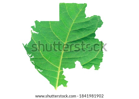 Map of Gabon in green leaf texture on a white isolated background. Ecology, climate concept.