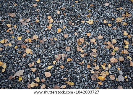 texture of dark gray gravel with small yellow leaves