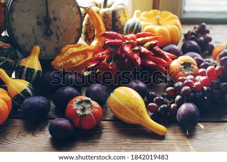 Autumn still-life background with fresh organic fruits and vegetables. Assortment of ripe plums, grapes, pumpkin, persimmon and red peppers, harvest or thanksgiving composition, selective focus