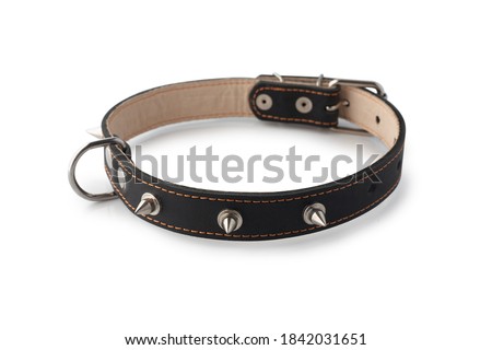Black leather collar with spikes isolated on white background.