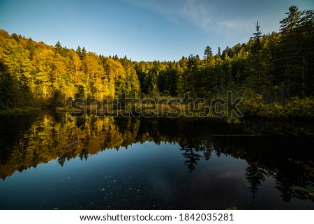 Beautiful quiet and peaceful lake in the middle of a coniferous forest in the mountains