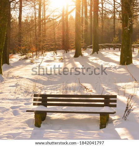 Sunny winter day beautiful light on a snow covered bench outdoors