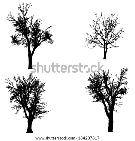 Vector silhouette of tree on a white background.