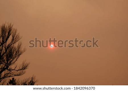 Air Pollution Burning Forest Chernobyl April 2020