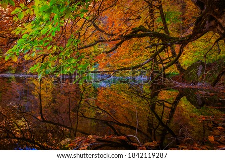 lake in a golden autumn forest at an altitude of 1570 meters above sea level