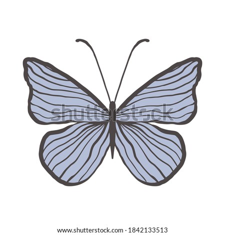 Decorative vintage blue butterfly with thin stripes. Graceful insect on a white background isolated. Vector illustration of an insect with thin antennae. Cute insect on with wings for a graceful and