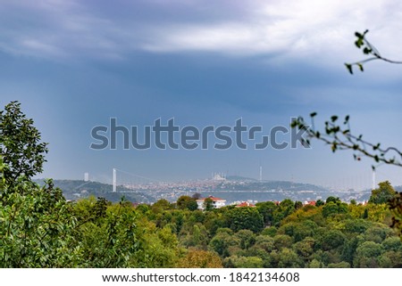 Before rain green trees and bridge view from istanbul city