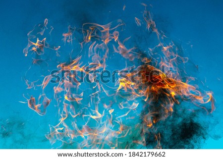 Fire flames. Flames and smoke on a sky background.