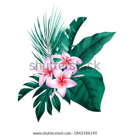 Composition of tropical plants and flowers. Botanical watercolor green exotic leaves. Coconut palm, monstera, banana tree, plumeria.