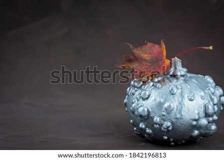 Still life composition with colorful decorative mini pumpkins