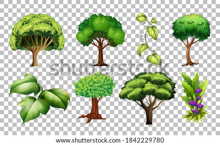 Set of tree on transparent background illustration