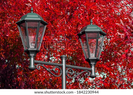 beautiful street lamp on a background of autumn leaves.