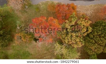 Aerial drone shot over a park in Valley Stream, New York showing the beautiful autumn landscape from a bird's eye point of view. It was a cloudy day and the park is empty.