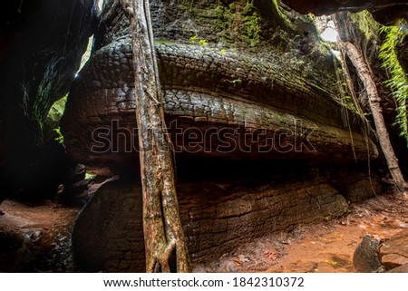 
Naga stone is a wonder of the rock that looks like a big snake and is believed to be a serpent Located in Phu Langka National Park. Bueng Kan - Nakhon Phanom Province : Thailand
 Royalty-Free Stock Photo #1842310372