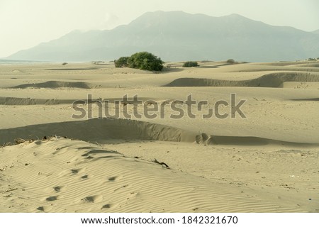 Sand dunes in the wind at Patara beach, Turkey.