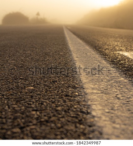Beautiful picture of a road in a foggy day during the sun rising. Close up looking of the tarmac. Low shot