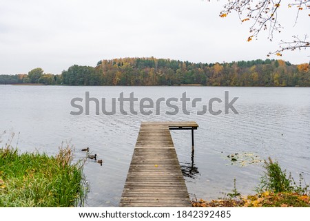 Forest with green, yellow and orange trees, lake and wooden pier, wonderful autumn landscape, cloudy sky after the rain 