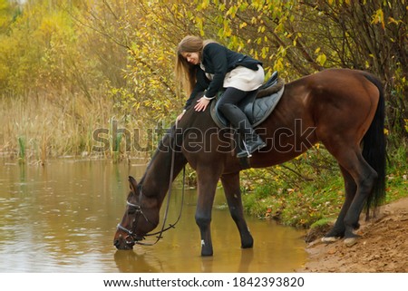 Cute young woman on horse in autumn forest by lake. Horse drinks water in pond, female strokes her mane. Rider in autumn Park. Concept of horse riding in fresh air, sports and leisure. Copy space