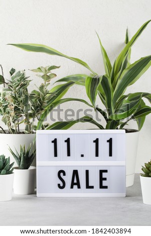 11.11 sale text on white lightbox among the plants in pots . Online shopping, singles day sale concept. Top view copy space 