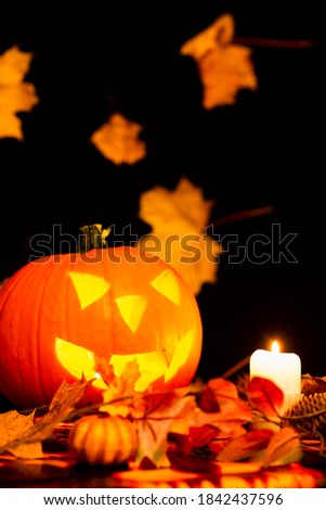 Halloween Still Life Colorful Theme Scary Decorated Dark and yellow maple leaves Room with Burning Pumpkin, Candlestick, In Background yellow leaves