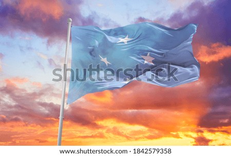 Large Micronesia Federated States flag waving in the wind