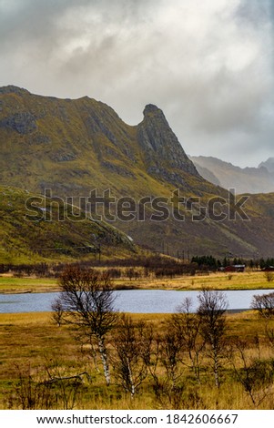 Picture of the Austvagsoya island belonging to the Lofoten archipelago in Norway