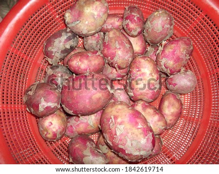 This is a picture of fresh Kuroda Potatoes in the red basket  