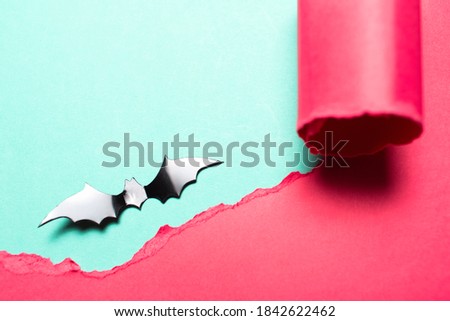 Close-up of black bat on cyan background in hole of torn paper of pink color.