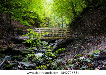 Picture of a new wooden bridge in the middle of a mystical forest with dark stones, dark forest floor and green leaves near the Heslacher waterfalls in Stuttgart, Germany