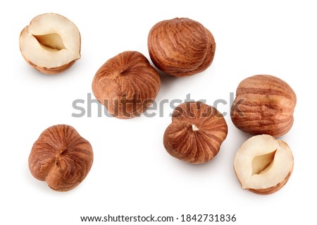 Top view of hazelnuts isolated on white background  Royalty-Free Stock Photo #1842731836