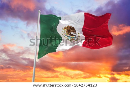 Large Mexico flag waving in the wind Royalty-Free Stock Photo #1842754120