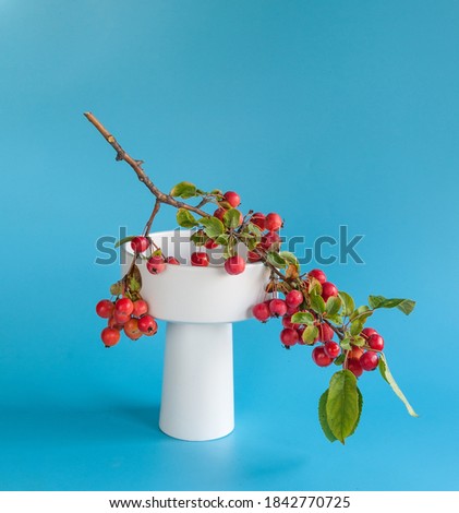 White porcelain vase with a branch of apples on a blue background