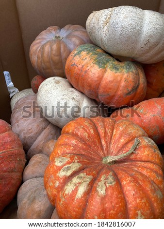 Stacked pumpkins in a box.