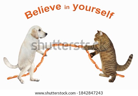 A dog and a cat are playing in tug of war. They pull a sausage instead of a rope. Believe in yourself. White background. Isolated.