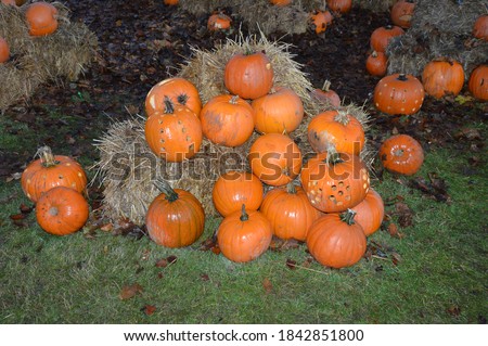 Preparations for Halloween or Hallowe'en 2020-One theory holds that many Halloween traditions originated from ancient Celtic harvest festivals,particularly the Gaelic festival Samhain.