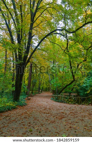 Beautiful public park photography, Beautiful autumn nature photography