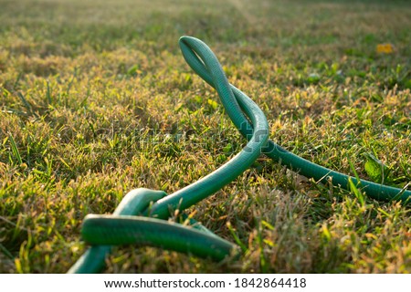 a green kinked garden hose Royalty-Free Stock Photo #1842864418