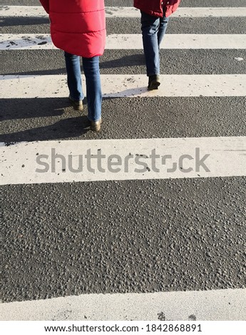 Texture asphalt background with pedestrian zebra and legs walking citizens