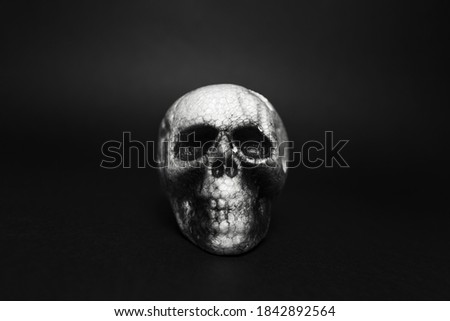 Close-up portrait of anatomical human spooky skull, on background of black color.