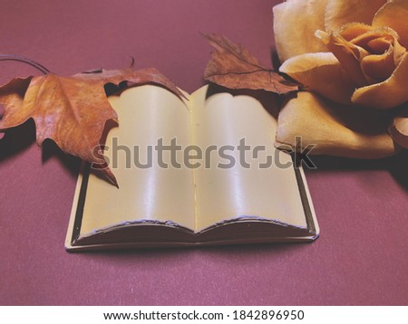 Blank sheet open Book made of stone focused in autumn composition. Poetry writing concept. Autumn story concept.