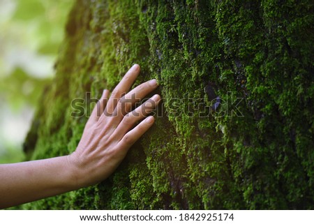 Touch of fresh moss in the forest Royalty-Free Stock Photo #1842925174