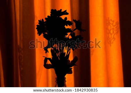old looking vase silhouette with abstract background