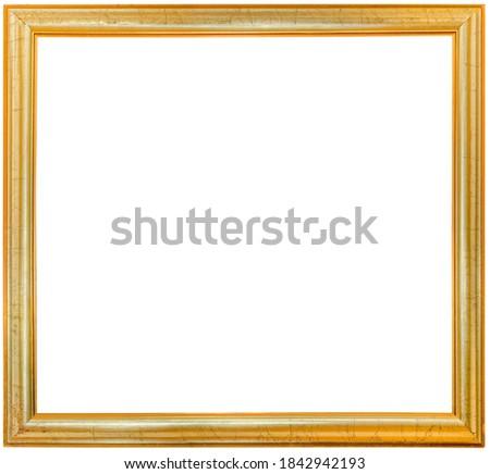 Simple Golden Picture Frame Cutout