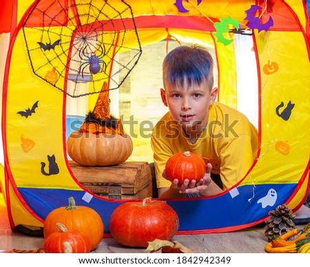 A little cute boy with blue hair sits in a children's tent, decorated for Halloween with bats and ghosts, a spider web, orange pumpkins.