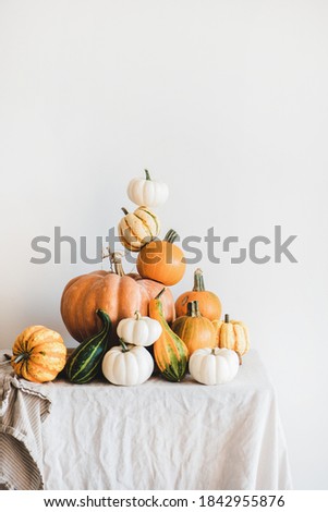 Colorful pumpkins of different shapes and size in pyramid composition on light tablecloth, white wall at background. Pumpkins for Halloween or Thanksgiving Day Autumn holiday decoration concept