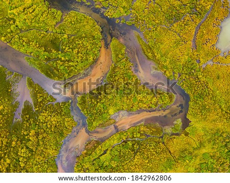 Aerial view of colorful pond in the marshlands during a summer day. Taken in British Columbia, Canada.