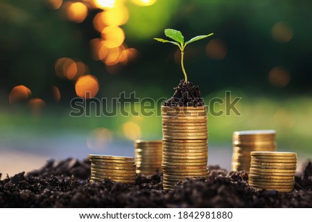 Return on investment concept and saving money
Seedling on a blurred natural background Royalty-Free Stock Photo #1842981880
